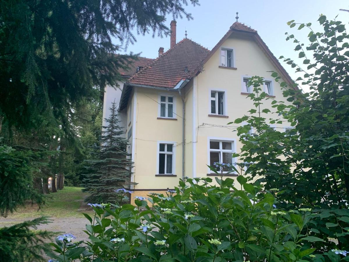 Arboretum Świeradów-Zdrój Kültér fotó